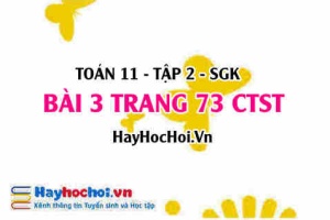 Bài 3 trang 73 Toán 11 tập 2 Chân trời sáng tạo: Hình Lăng Trụ Đứng & Hình Học Không Gian